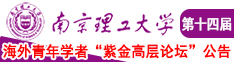 大黑吊擦进的逼里南京理工大学第十四届海外青年学者紫金论坛诚邀海内外英才！